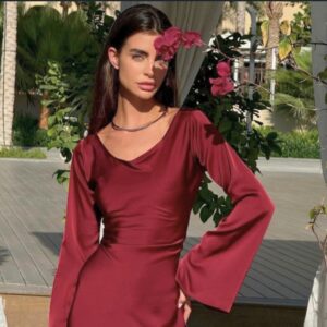 Gamine Full-Sleeved Dress